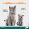 Vermífugo Drontal Spot On Para Gatos De 5Kg A 8Kg - 1 Bisnaga - 1,12 Mililitros