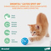 Vermífugo Drontal Spot On Para Gatos De 5Kg A 8Kg - 1 Bisnaga - 1,12 Mililitros