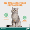 Vermífugo Drontal Spot On Para Gatos De 5Kg A 8Kg - 1 Bisnaga - 1,12 Mililitros