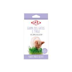 Kit Cultivo Grama Dos Gatos Isla - Jardins