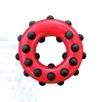 Kong Brinquedo Para Cães Dotz Circle Colorido - 1 Unidade