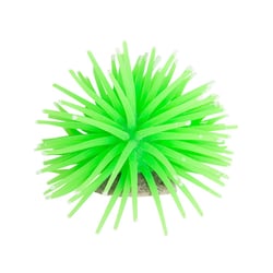 Maxxi Anêmona Ys-1106G Verde - 1 Unidade