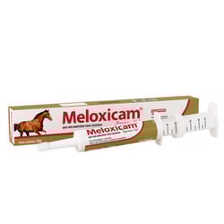 Meloxicam Gel Equinos 35G - 1 Unidade