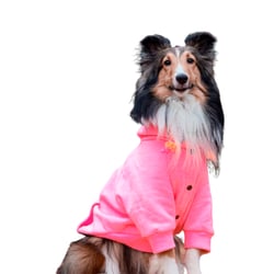 Moletom Bendog Rosa Neon Para Cães - 1 Unidade - Tamanho P