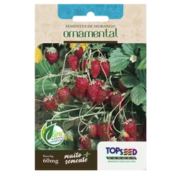Morango Ornamental Tradicional Topseed Garden - 1 Unidade