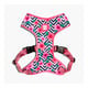 Peitoral Ajustável Zee.Dog Air Mesh Mahalo Para Cães - 1 Unidade - Tamanho P - Tamanho P