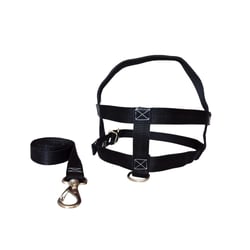 Peitoral C/Guia Nylon Preto N.1