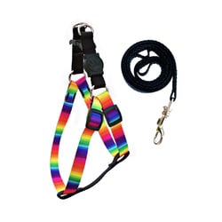 Peitoral Com Guia Amf Arco-Íris Para Cães - 1 Unidade