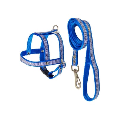 Peitoral Com Guia Griff Dog Azul - Tamanho 0 Para Cães