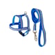 Peitoral Com Guia Griff Dog Azul - Tamanho 0 Para Cães - Tamanho 0