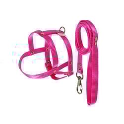 Peitoral Com Guia Griff Dog Rosa Para Cães - 1 Unidade - Tamanho 0