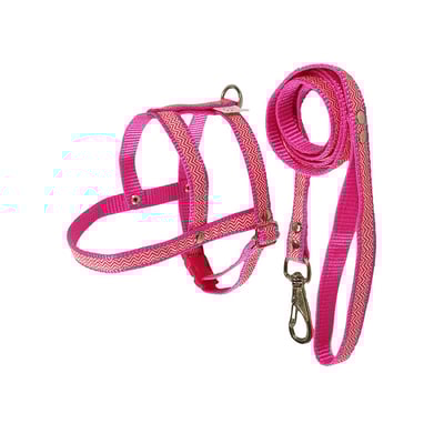 Peitoral Com Guia Griff Dog Rosa Para Cães Tamanho 1
