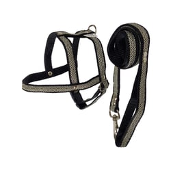 Peitoral Com Guia Griff Dog Tamanho 1 - Cores Sortidas Para Cachorros