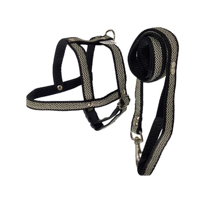 Peitoral Com Guia Griff Dog Tamanho 1 - Cores Sortidas Para Cachorros
