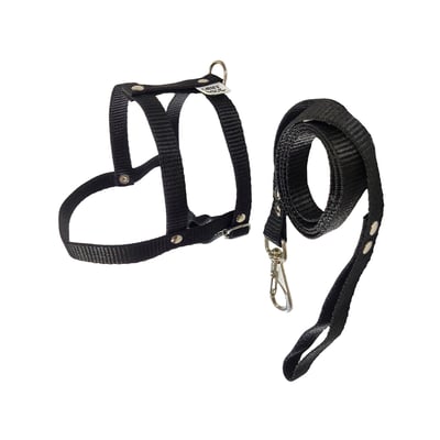 Peitoral Com Guia Griff Dog Tradicional Liso Para Cães Tamanho 1 - Cores Sortidas