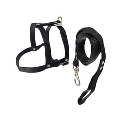 Peitoral Com Guia Griff Dog Tradicional Liso - Tamanho 3 Para Cães