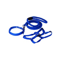 Peitoral Com Guia Le Patin Peludo Azul Para Cães - 1 Unidade - Tamanho M
