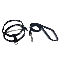 Peitoral Com Guia Santa Fé Pet Nº 0 Preto Para Cães - 1 Unidade