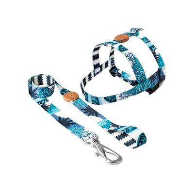 Peitoral Com Guia Toh Tradicional Noronha Tamanho Gg Para Cães - Guias E Cintos De Segurança