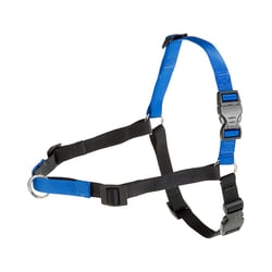 Peitoral De Adestramento Ferplast Coach Para Cães - 1 Unidade - Tamanho P/M