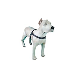 Peitoral De Treinamento K9 Spirit Para Cães Preto - Tamanho G