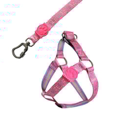 Peitoral E Guia Candy Para Cachorro Tam. G