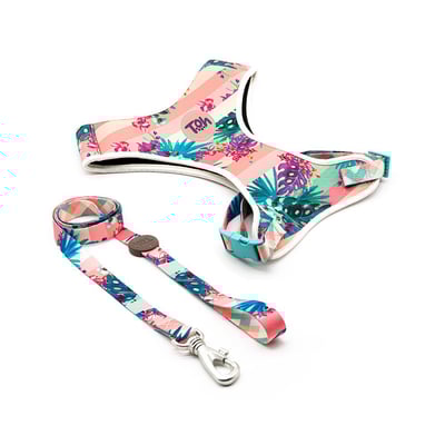 Peitoral E Guia Toh Neoprene Laguna Para Cães - Tamanho G