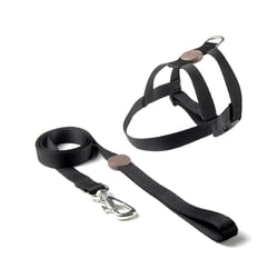 Peitoral E Guia Toh Tradicional Black Tamanho Gg Para Cães