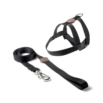 Peitoral E Guia Toh Tradicional Black Tamanho Gg Para Cães