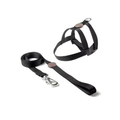 Peitoral E Guia Toh Tradicional Black Tamanho M Para Cães