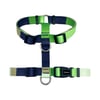 Peitoral Eco Tchucoo Para Cães - 1 Unidade - Tamanho P