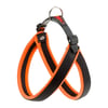 Peitoral Ferplast Agila Fluo Laranja Para Cães - 1 Unidade