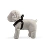Peitoral Griff Dog Premium Para Cães Macho - Tamanho 2