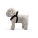 Peitoral Griff Dog Premium Para Cães Macho - Tamanho 1 - Tamanho 1