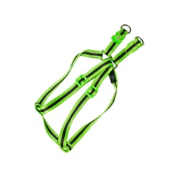 Peitoral Havai Green Amf Nº01 Para Cachorros