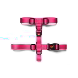 Peitoral Hello Rosa Para Cães - 1 Unidade - Tamanho PP