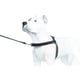 Peitoral K9 Spirit Treinamento Para Cães Preto - 1 Unidade - Tamanho P - Tamanho P