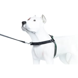 Peitoral K9 Spirit Treinamento Para Cães - Preto - Tamanho PX