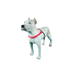 Peitoral K9 Spirit Treinamento Para Cães Vermelho - 1 Unidade - Tamanho P