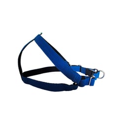 Peitoral Modernpet Azul Para Cães - Tamanho P