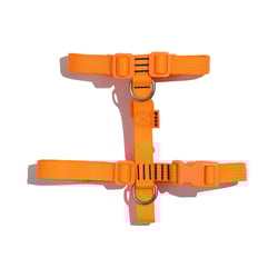 Peitoral Petz Flúor Orange Para Cães - 1 Unidade - Tamanho PP