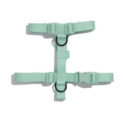 Peitoral Petz Pastel Mint Para Cães - Tamanho PP