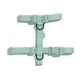 Peitoral Petz Pastel Mint Tamanho P Para Cachorros - Tamanho P