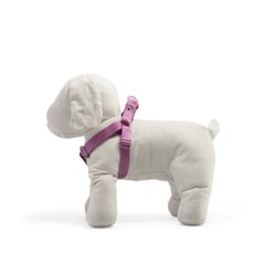 Peitoral Premium Griff Dog Para Cães Fêmeas - Tamanho 2