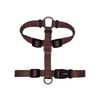Peitoral Tchucoo Brownie Para Cães - Tamanho P