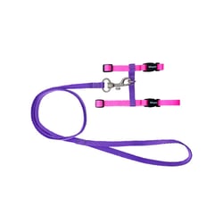 Peitoral Tchucoo Cat Fita Nina Para Gatos