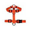 Peitoral Tchucoo Tangerine Para Cães - 1 Unidade - Tamanho P
