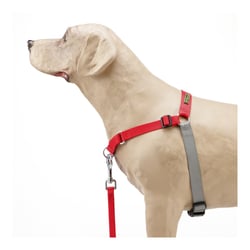 Peitoral Treinamento K9 Spirit Vermelho Para Cachorros - Tamanho PX