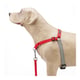 Peitoral Treinamento K9 Spirit Vermelho Para Cachorros - Tamanho PX - Tamanho PX
