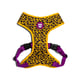 Peitoral Zee.Dog Air Mesh Honey Para Cães - 1 Unidade - Tamanho PP - Tamanho PP